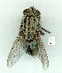  ( - gvc9665-1L)  @12 [ ] Copyright (2004) Unspecified Unspecified