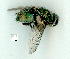  ( - gvc9669-1L)  @12 [ ] Copyright (2004) Unspecified Unspecified