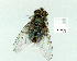  ( - gvc9670-1L)  @12 [ ] Copyright (2004) Unspecified Unspecified