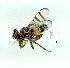  ( - gvc9687-1L)  @12 [ ] Copyright (2004) Unspecified Unspecified