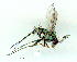  ( - gvc9688-1L)  @13 [ ] Copyright (2004) Unspecified Unspecified