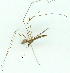 ( - gvc9829-1L)  @12 [ ] Copyright (2004) Unspecified Unspecified