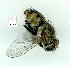  ( - gvc9865-1L)  @12 [ ] Copyright (2004) Unspecified Unspecified