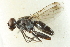 ( - gvc17208-1L)  @13 [ ] CreativeCommons - Attribution (2012) CBG Photography Group Centre for Biodiversity Genomics
