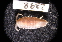 ( - LACM:DISCO:2398)  @11 [ ] CreativeCommons  Attribution (by) (2018) Natural History Museum of Los Angeles County Natural History Museum of Los Angeles County