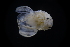  ( - LACM:DISCO:2736)  @11 [ ] CreativeCommons  Attribution (by) (2018) Natural History Museum of Los Angeles County Natural History Museum of Los Angeles County