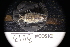  ( - LACM:DISCO:3013)  @11 [ ] CreativeCommons  Attribution (by) (2018) Natural History Museum of Los Angeles County Natural History Museum of Los Angeles County