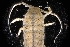  ( - LACM:DISCO:3212)  @11 [ ] CreativeCommons  Attribution (by) (2018) Natural History Museum of Los Angeles County Natural History Museum of Los Angeles County