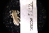  ( - LACM:DISCO:3212)  @11 [ ] CreativeCommons  Attribution (by) (2018) Natural History Museum of Los Angeles County Natural History Museum of Los Angeles County