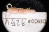  ( - LACM:DISCO:3256)  @11 [ ] CreativeCommons  Attribution (by) (2018) Natural History Museum of Los Angeles County Natural History Museum of Los Angeles County