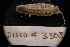  ( - LACM:DISCO:3308)  @11 [ ] CreativeCommons  Attribution (by) (2018) Natural History Museum of Los Angeles County Natural History Museum of Los Angeles County