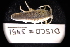  ( - LACM:DISCO:3451)  @11 [ ] CreativeCommons  Attribution (by) (2018) Natural History Museum of Los Angeles County Natural History Museum of Los Angeles County