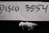  ( - LACM:DISCO:3554)  @11 [ ] CreativeCommons  Attribution (by) (2018) Natural History Museum of Los Angeles County Natural History Museum of Los Angeles County