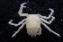  ( - LACM:DISCO:3556)  @11 [ ] CreativeCommons  Attribution (by) (2018) Natural History Museum of Los Angeles County Natural History Museum of Los Angeles County