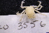  ( - LACM:DISCO:3556)  @11 [ ] CreativeCommons  Attribution (by) (2018) Natural History Museum of Los Angeles County Natural History Museum of Los Angeles County