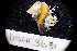  ( - LACM:DISCO:3631)  @11 [ ] CreativeCommons  Attribution (by) (2018) Natural History Museum of Los Angeles County Natural History Museum of Los Angeles County