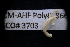  (Poecilochaetus martini - LACM:DISCO:3703)  @11 [ ] CreativeCommons  Attribution (by) (2018) Natural History Museum of Los Angeles County Natural History Museum of Los Angeles County