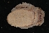  ( - LACM:DISCO:3967)  @11 [ ] CreativeCommons  Attribution (by) (2018) Natural History Museum of Los Angeles County Natural History Museum of Los Angeles County