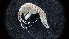  ( - LACM:DISCO:6120)  @11 [ ] CreativeCommons  Attribution (by) (2018) Natural History Museum of Los Angeles County Natural History Museum of Los Angeles County