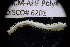  ( - LACM:DISCO:6201)  @11 [ ] CreativeCommons  Attribution (by) (2018) Natural History Museum of Los Angeles County Natural History Museum of Los Angeles County