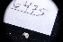  ( - LACM:DISCO:6475)  @11 [ ] CreativeCommons  Attribution (by) (2018) Natural History Museum of Los Angeles County Natural History Museum of Los Angeles County