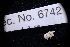  ( - LACM:DISCO:6742)  @11 [ ] CreativeCommons  Attribution (by) (2018) Natural History Museum of Los Angeles County Natural History Museum of Los Angeles County