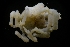  ( - LACM:DISCO:6789)  @11 [ ] CreativeCommons  Attribution (by) (2018) Natural History Museum of Los Angeles County Natural History Museum of Los Angeles County