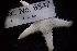  ( - LACM:DISCO-6847)  @11 [ ] CreativeCommons  Attribution (by) (2018) Natural History Museum of Los Angeles County Natural History Museum of Los Angeles County