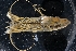  ( - LACM:DISCO:7069)  @11 [ ] CreativeCommons  Attribution (by) (2018) Natural History Museum of Los Angeles County Natural History Museum of Los Angeles County