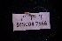  ( - LACM:DISCO:7566)  @11 [ ] CreativeCommons  Attribution (by) (2018) Natural History Museum of Los Angeles County Natural History Museum of Los Angeles County