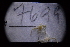  ( - LACM:DISCO:7699)  @11 [ ] CreativeCommons  Attribution (by) (2018) Natural History Museum of Los Angeles County Natural History Museum of Los Angeles County