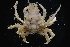  ( - LACM:DISCO:7739)  @11 [ ] CreativeCommons  Attribution (by) (2018) Natural History Museum of Los Angeles County Natural History Museum of Los Angeles County
