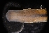  ( - LACM:DISCO:3428)  @11 [ ] CreativeCommons  Attribution (by) (2018) Natural History Museum of Los Angeles County Natural History Museum of Los Angeles County