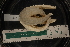  ( - LACM:DISCO:3904)  @11 [ ] CreativeCommons  Attribution (by) (2018) Natural History Museum of Los Angeles County Natural History Museum of Los Angeles County