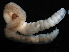  ( - 09PROBE-01876)  @12 [ ] CreativeCommons - Attribution (2009) Unspecified Centre for Biodiversity Genomics