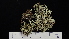 ( - ABMI.L.1159091)  @11 [ ] CreativeCommons  Attribution Non-Commercial Share-Alike (2022) Diane L. Haughland Alberta Biodiversity Monitoring Institute