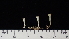  ( - ABMI.L.1375704)  @11 [ ] CreativeCommons  Attribution Non-Commercial Share-Alike (2022) Diane L. Haughland Alberta Biodiversity Monitoring Institute