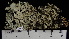 ( - ABMI.L.1445238)  @11 [ ] CreativeCommons  Attribution Non-Commercial Share-Alike (2022) Diane L. Haughland Alberta Biodiversity Monitoring Institute