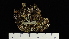  ( - ABMI.L.1504881)  @11 [ ] CreativeCommons  Attribution Non-Commercial Share-Alike (2022) Diane L. Haughland Alberta Biodiversity Monitoring Institute