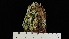  ( - ABMI.L.1614705)  @11 [ ] CreativeCommons  Attribution Non-Commercial Share-Alike (2022) Diane L. Haughland Alberta Biodiversity Monitoring Institute