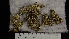  ( - ABMI.L.30162)  @11 [ ] CreativeCommons  Attribution Non-Commercial Share-Alike (2022) Diane L. Haughland Alberta Biodiversity Monitoring Institute