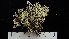  ( - ABMI.L.501113)  @11 [ ] CreativeCommons  Attribution Non-Commercial Share-Alike (2022) Diane L. Haughland Alberta Biodiversity Monitoring Institute