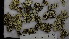  ( - ABMI.L.689652)  @11 [ ] CreativeCommons  Attribution Non-Commercial Share-Alike (2022) Diane L. Haughland Alberta Biodiversity Monitoring Institute