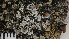  ( - DLH-2013-58)  @11 [ ] CreativeCommons  Attribution Non-Commercial Share-Alike (2022) Diane L. Haughland Alberta Biodiversity Monitoring Institute