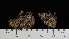  ( - DLH-2013-85)  @11 [ ] CreativeCommons  Attribution Non-Commercial Share-Alike (2022) Diane L. Haughland Alberta Biodiversity Monitoring Institute