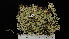  ( - DLH-2014-221)  @11 [ ] CreativeCommons  Attribution Non-Commercial Share-Alike (2022) Diane L. Haughland Alberta Biodiversity Monitoring Institute