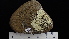  ( - DLH-2014-238)  @11 [ ] CreativeCommons  Attribution Non-Commercial Share-Alike (2022) Diane L. Haughland Alberta Biodiversity Monitoring Institute