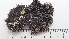  ( - DLH-2015-137)  @11 [ ] CreativeCommons  Attribution Non-Commercial Share-Alike (2020) Diane L. Haughland Unspecified