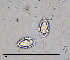  ( - DLH-2015-165)  @11 [ ] CreativeCommons  Attribution Non-Commercial Share-Alike (2020) Diane L. Haughland Unspecified