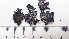  ( - DLH-2015-196)  @11 [ ] CreativeCommons  Attribution Non-Commercial Share-Alike (2020) Diane L. Haughland Unspecified